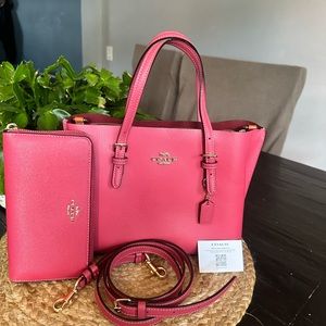 Coach Handbag and wallet